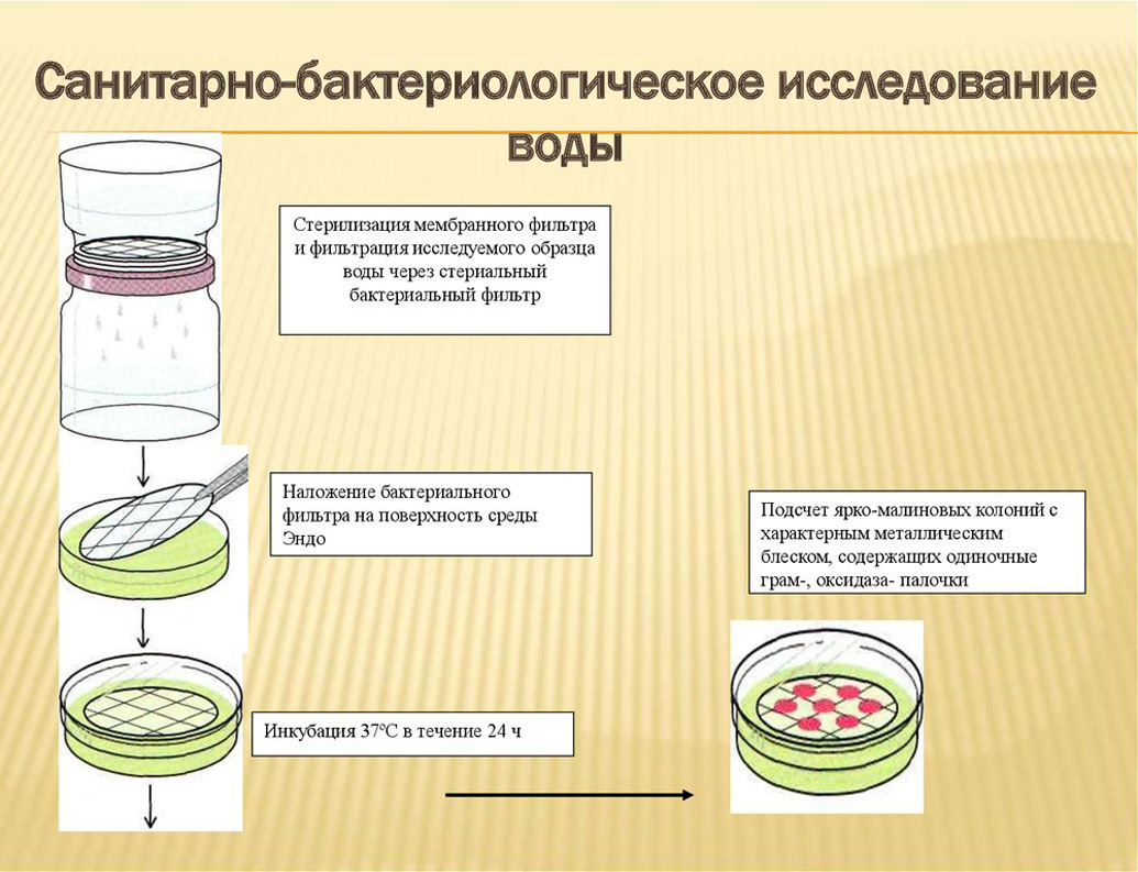Микробиологический анализ питьевой воды санитарный