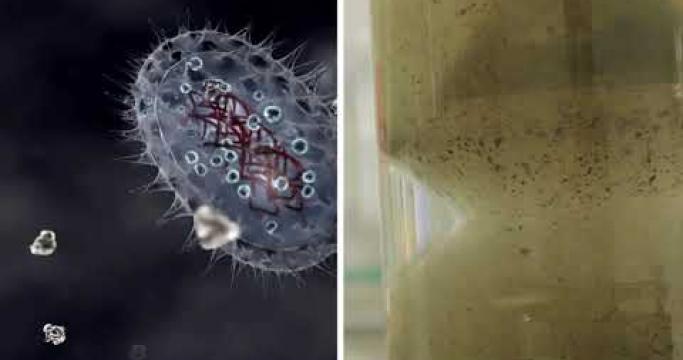 Embedded thumbnail for Лучшие реагенты для водоподготовки и водоочистки